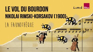 RimskiKorsakov  Le Vol du Bourdon  La Faunothèque [upl. by Zelma]