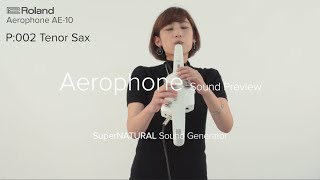 Roland Aerophone AE10 Sound Preview [upl. by Erialc]