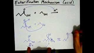 How to Make Esters Mechanism [upl. by Norword]