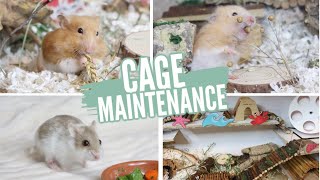 Hamster Cage Maintenance [upl. by Stronski]