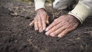 Planting Trees in the Amazon The Amazon Project  One Tree Planted [upl. by Levina]