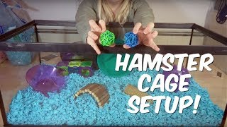 HOW TO SET UP A HAMSTER CAGE [upl. by Letsyrhc99]