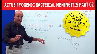 Acute Pyogenic Bacterial Meningitis Part 2 🩺 [upl. by Welcome]