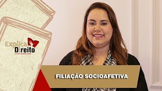 Explica Direito Filiação Socioafetiva  2019 [upl. by Glori]