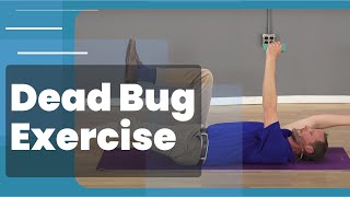 Dead Bug Core Exercise  3 Progressions [upl. by Rey]