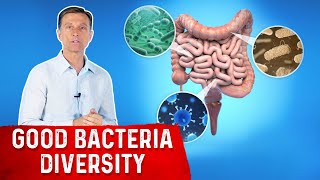 Increase Gut Bacteria Diversity Heres How [upl. by Ateuqahs79]