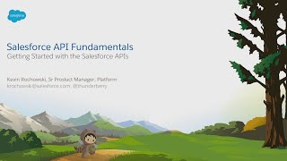 Salesforce API Fundamentals [upl. by Anstice]