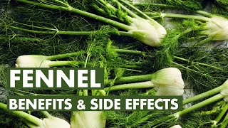 Fennel Benefits and Side Effects Fennel For Bone Health and Boosting Energy [upl. by Frierson]