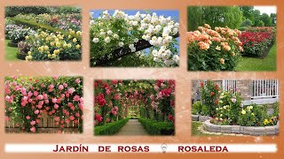 Rosaleda  Jardines de rosas [upl. by Jerol]