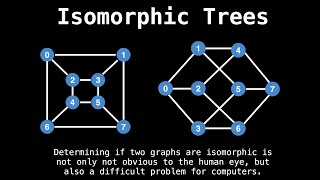 Identifying Isomorphic Trees  Graph Theory [upl. by Atiuqet106]