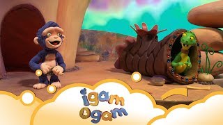 Igam Ogam Not Now S2 E21  WikoKiko Kids TV [upl. by Atiuqiram763]