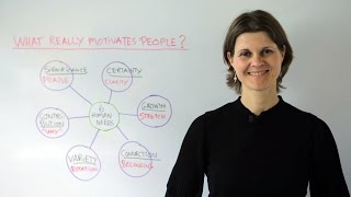 What Really Motivates People  Leadership Training [upl. by Tronna]