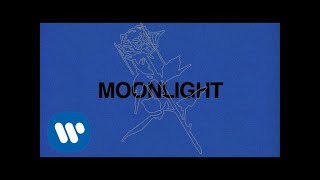 Ali Gatie  Moonlight Official Lyrics Video [upl. by Einahpetse965]