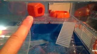 Ferplast Duna Cage Review  Dwarf Hamsters ONLY [upl. by Calva584]