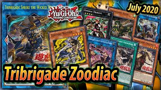 Tribrigade Zoodiac HOT DAMN  Post Phantom Rage [upl. by Swords]