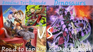 Zoodiac TriBrigade VS DINOSAURS High Rated DB YuGiOh [upl. by Bala]