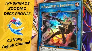 DECK PROFILE 「TriBrigade Zoodiac」 Cá Vàng Yugioh Channel [upl. by Alyn]