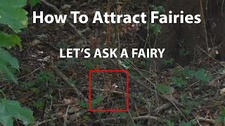 How to Attract Fairies  Lets Ask a Fairy [upl. by Assillim807]