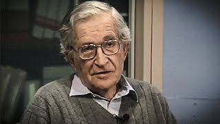 Noam Chomsky  The Function of Language [upl. by Neelram547]