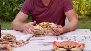 How to Eat a Crab [upl. by Loux]