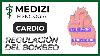 Clase 19 Fisiología Cardíaca 4  Regulación del bombeo cardíaco IGdoctorpaiva [upl. by Lowson]