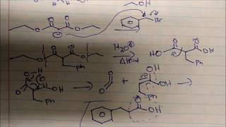 Malonic Ester Synthesis Reactions and Mechanism Using Diethyl Malonate [upl. by Ybroc852]