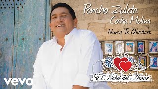 Poncho Zuleta El Cocha Molina  Nunca Te Olvidaré Audio [upl. by Edmond]