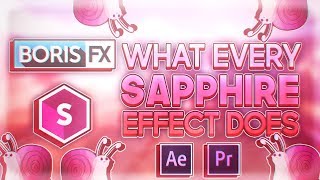 What Every Boris Sapphire Effect Does After Effects [upl. by Linskey]