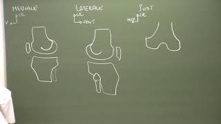 MI 2  Anatomie du genou Knee anatomy [upl. by Alleyn]