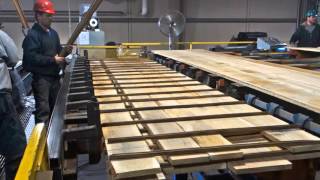 TS Lumber Stacker Systems Overview [upl. by Shaeffer]