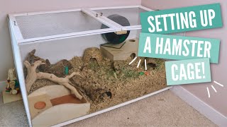 How to Setup a Hamster Cage [upl. by Sexton54]