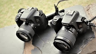 Canon 800D vs Canon 250D Digital Image Stabilization Review [upl. by Annabella184]