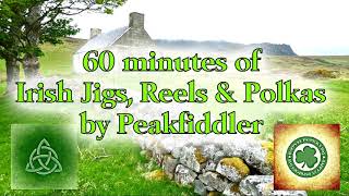 60 minutes Irish Jigs Reels amp Polkas [upl. by Claiborn]