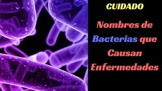 Nombres de Bacterias que Causan Enfermedades [upl. by Nwad240]