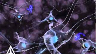 How Neurotransmission amp brain signals work  3D animation [upl. by Hoang]