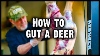 How to Gut A Deer StepbyStep Guide 581 [upl. by Yetti]