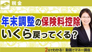 年末調整の保険料控除、戻ってくる金額はいくら？わかりやすく解説【初心者でもわかる税金】 [upl. by Blessington509]