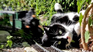 Katze vs Gartenbahn IV [upl. by Ennaitsirhc]