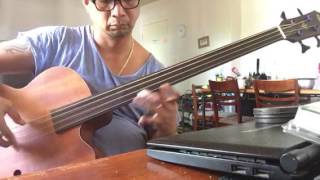 Aria acoustic bass with Thomastik Infeld nylon core strings [upl. by Notsua]