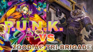 PUNK vs Zoodiac Tribrigade  Yugioh Master Duel [upl. by Fernas]