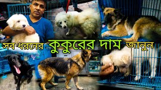 কিউট বিদেশী কুকুর কিনুন 🐶  জার্মান শেফার্ড এর দাম🐕  Katabon Pet market Dhaka  Biggest Dog Market [upl. by Evangelina]