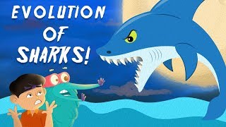 Evolution Of Sharks  The Dr Binocs Show  Best Learning Videos For Kids  Peekaboo Kidz [upl. by Anej629]