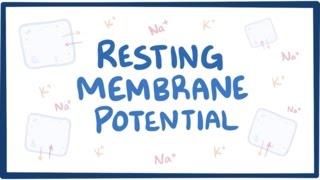 Resting membrane potential  definition examples [upl. by Edieh]