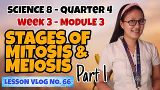 Stages of Mitosis and Meiosis Module 3 Part 1  SCIENCE 8 [upl. by Aleekahs126]