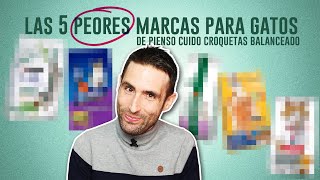 Las 5 PEORES marcas de PIENSO CUIDOCROQUETITAS para GATOS 😾 No son las que esperas 🙀 [upl. by Lawrence]