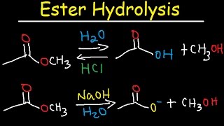 Ester Hydrolysis Reaction Mechanism  Acid Catalyzed amp Base Promoted Organic Chemistry [upl. by Ranchod]