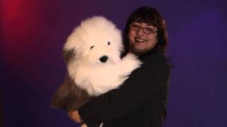 Folkmanis® Sheepdog Puppet Demo [upl. by Eimarej681]