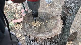 Burning a tree stump easy removal [upl. by Lunneta876]