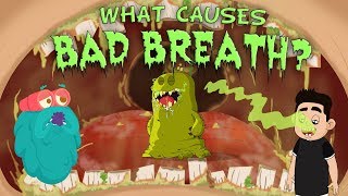 What Causes Bad Breath  The Dr Binocs Show  Best Learning Videos For Kids  Peekaboo Kidz [upl. by Asilak]