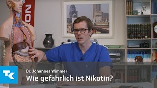 Wie gefährlich ist Rauchen  Dr Johannes Wimmer [upl. by Akirahc]